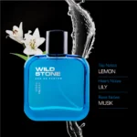 Wild Stone Hydra Energy Perfume For Men (2)