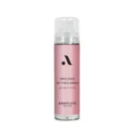 Absolute New York Prolong Setting Spray